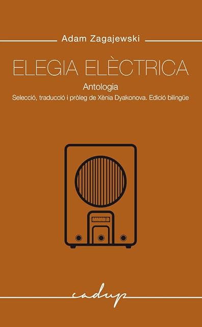 Portada de Elegia Elèctrica