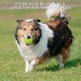 SHYUJAJIE Tennisbälle, 20 Stück, Trainings-Tennisbälle, hohe Elastizität, Übungstennis für Anfänger, Übungsbälle für Hunde (Rosa)
