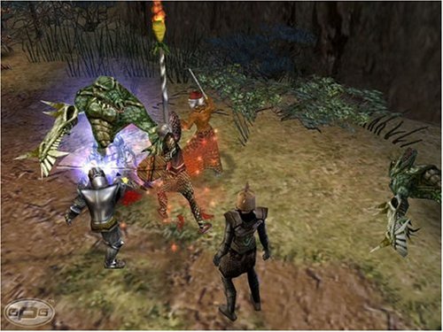 Dungeon Siege Psp - vue 3
