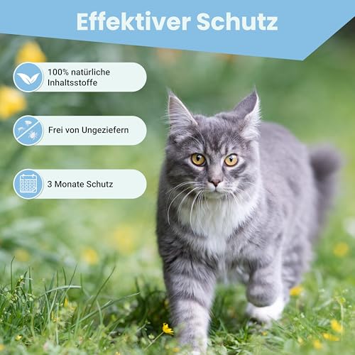 MC-Royal® Spot On Zeckenschutz für Katzen [3 Monate effektiver Schutz vor Zecken] Zeckenmittel für Katzen -Zeckenschutz Katze - Spot On for Cats