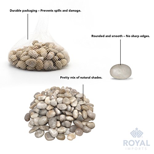 Image of River Rocks Decorative Ornamental Vase Filler 1 inch-1.5 inch Light Aquarium Gravel 5 lbs - Landscaping Pebbles for Indoor Plants, Fish Tank Gravel, Terrarium& Home Decor, DIY & Crafting - Royal Imports