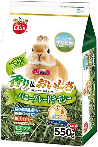 ミニマルランド バニーグレードチモシー