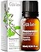 Produktbild Gya Labs Reines Pfefferminzöl für das Haarwachstum  100% therapeutische ätherische Minzöle  hochwertiges natürliches ätherisches Pfefferminzöl für Diffusor, Haut und Haare (10 ml)