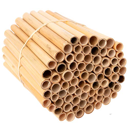 Rivajam 125 Phragmite Reed Mason Bee Tubes | Refill Your Mason Bee House, Bee Hotel Nest Box, Solitary Bee Hive & Pollinator Bee Box | Mason Bee Houses For The Garden Starter Kit & Mason Bees Supplies #TOP7