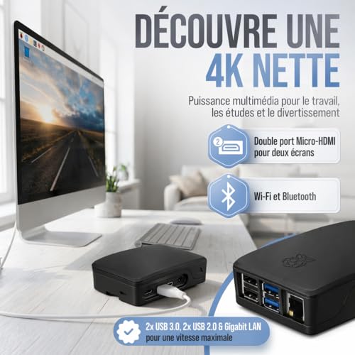 db-tronic Raspberry Pi 4 4 Go Starter Kit | Édition Noire 64 Go | Alimentation 15 W | Boîtier Noir | Micro HDMI 4K | Dissipateurs | idéal pour Home Assistant et Le Smart Home – vue 6