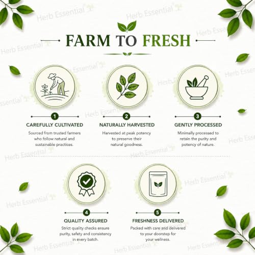Image of Herb Essential Natural for Hair Growth & Hair Mask Powder Combo - 100gm*5