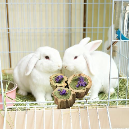 Image of Natural Rabbit Chew Toys,Papaya Wood Sticks Organic Rabbit Treats with Timothy Hay Cakes and Dried Flower Rabbit Enrichment Toys for Guinea Pig Teeth Grinding (3.52 OZ / 100g)