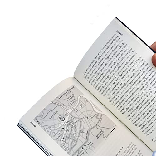 A dinâmica da revolta: Sobre insurreições passadas e outras por vir: Volume 1