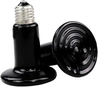 CIYODO 2 Peças De Terrários De Vidro Para Répteis Tartaruga Anfípode Lâmpada De Calor Cúpula Reptivite Lâmpada De Cerâmica Tomada De Luz De Calor Suporte De Lâmpadas Ouriço Luz