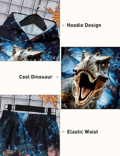 Image of Boys Clothes, T-Rex Print Dinosaur Boy Clothes Fall Winter Outfits Long-sleeved Hooded Sweatshirt Pants 2Pcs Set