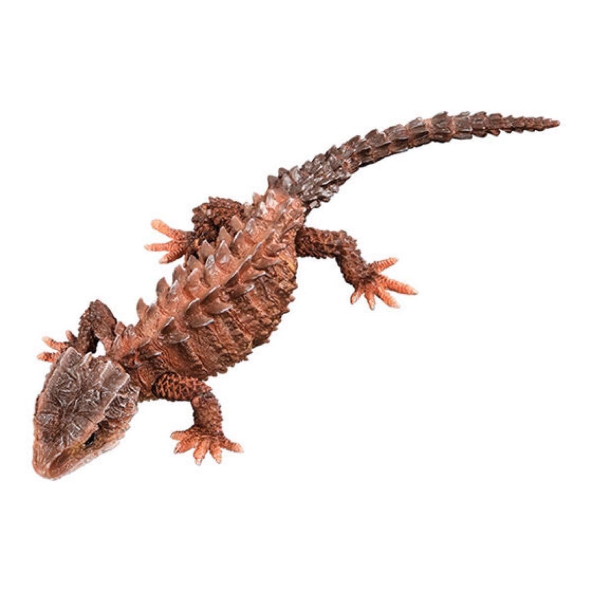 いきもの大図鑑アドバンス アカメカブトトカゲとモトイカブトトカゲ 全４種 Amazon.co.jp: モトイカブトトカゲ（ライトブラウン） いきもの