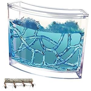 FCPLLTR Villa Pet voor huismieren, met doorschijnend gel-doolhof kijkgedeelte voor huismieren Ant Workshop Ant Nest…