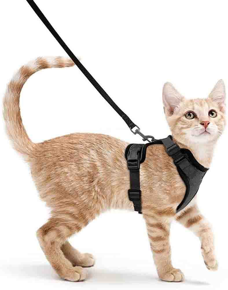 NUJOOM Cat Harness and Leash for Walking, Escape Proof Soft Adjustable Vest Harnesses for Cats, Easy Control Breathable Jacket (S(Chest Girth: 18.0-20”))