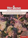 Roter Asia Salat Samen Asiasalatsamen Roter Salat Red Giant Scharfes Aroma ca 500 Korn Saatgut Hochbeet Balkon Garten Dürr Samen