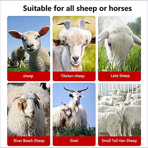 Zapion 850W Electric Horse Clipper Sheep Shears 6 Speeds Adjustable Wool Shearing Livestock Hair Fur Shear #TOP7