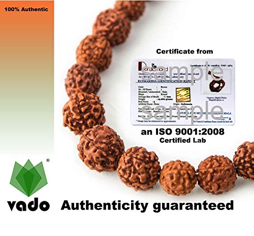Image of Vado Certified 1 Mukhi Rudraksha with Authentic Lab Certificate Genuine Half-moon Indian Kaju Dana Natural Beads (1 Mukhi)