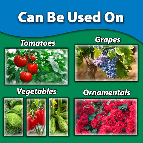 Image of Monterey Liquid Copper Fungicide RTU - Organic Gardening Fungicide for Flowers, Fruits, & Vegetables - 32 oz