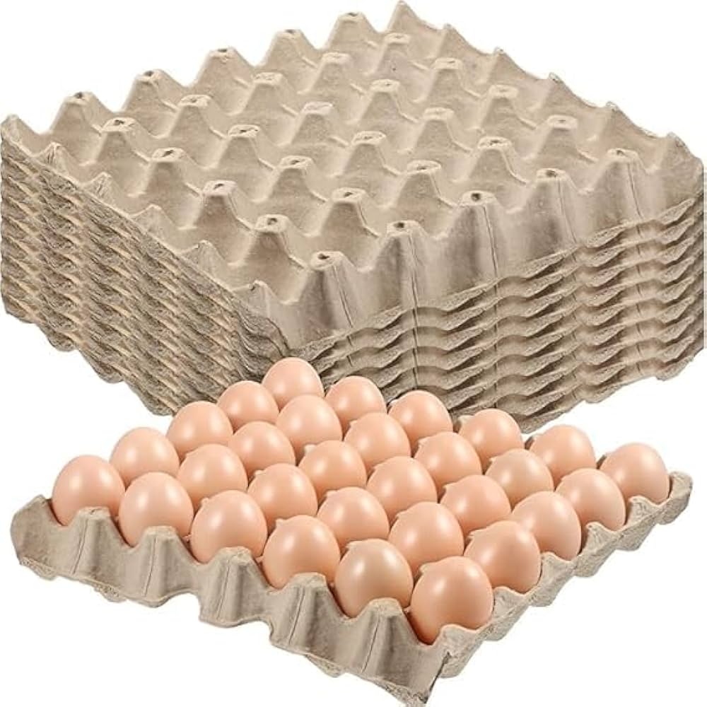 egg trays