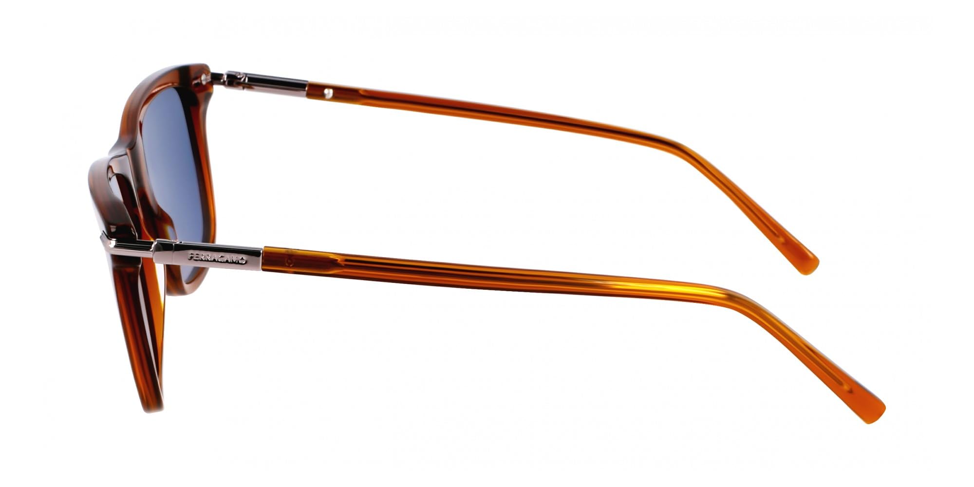 FERRAGAMO Unisex SF2028S Sunglasses, TRASPARENT Brown, 54, marrone trasparente, 54