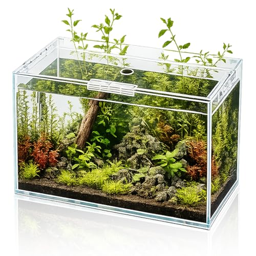 Cubo de aquário de vidro de 3 galões, pequeno aquário para peixes Betta Goldfish Caracóis camarão, plantio aquático, design ultra claro sem aro para espaços pequenos de mesa