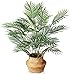 Produktbild SOGUYI Künstliche Areca Palme Pflanzen 70cm Kunstpflanze Kunstpalme Groß Zimmerpflanzen Plastik Pflanze Plants Deko im Topf Tropical Fake Plant Dekoration für Büro Garten Wohnzimmer Flur Balkon