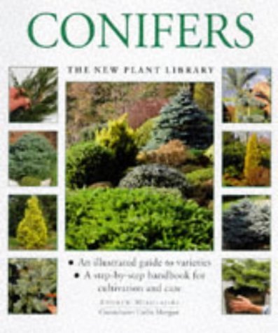 Conifers (New Plant Library): Mikolajski, Andrew: 9781859675137: Amazon ...