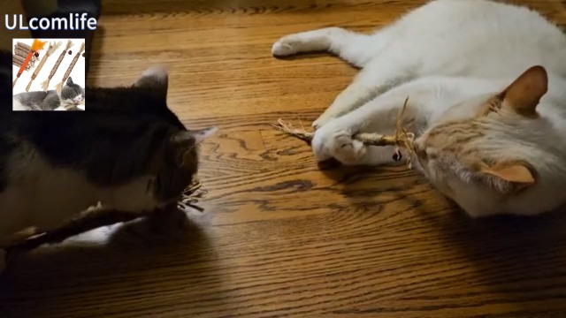 Amazon | ULcomlife 天然マタタビ リボン型またたび 猫用