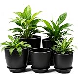 Huucozn 5er-Pack Pflanzentopf Blumentopf Schwarz Runde Form Übertopf Matte ø18/16/14/12,5/11,5cm Blumenübertopf aus Kunststoff mit Untertasse Anzuchttöpfe für Zimmerpflanzen Gartenpflanzen Sukkulenten