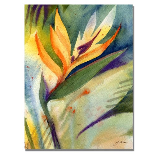 Bird Of Paradise By Sheila Golden, 24X32 Inches Canvas Wall Art #TOP13