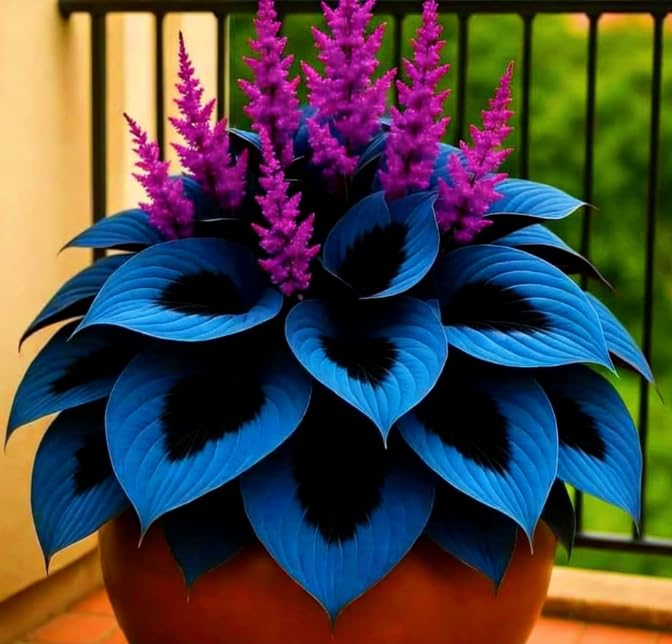 Shade-Tolerant Hosta Rhizomes/Suitable for Shade Planting/Ground Planting in Groups/Low-Maintenance Flower/that Grow Fast/Golden Jade Carving-6 Roots-J