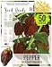 Package of 60 Seeds, Chocolate Habanero Pepper (Capsicum chinense) Non-GMO Seeds by Seed Needs