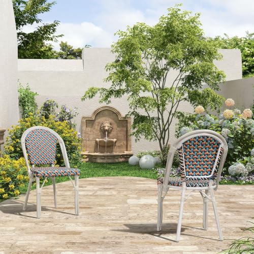 Image of PURPLE LEAF French Bistro Dining Chairs Set of 2, White Finish, Colorful