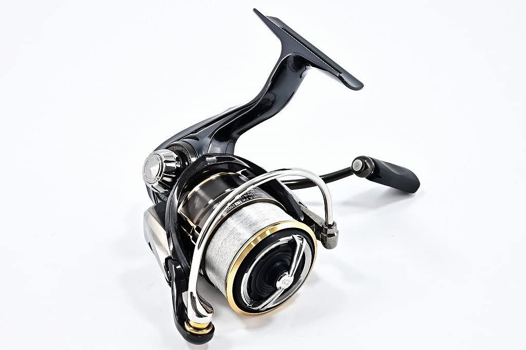 Amazon.co.jp: ダイワ 19バリスティック FW LT2000SS-XH ZPIキャップ