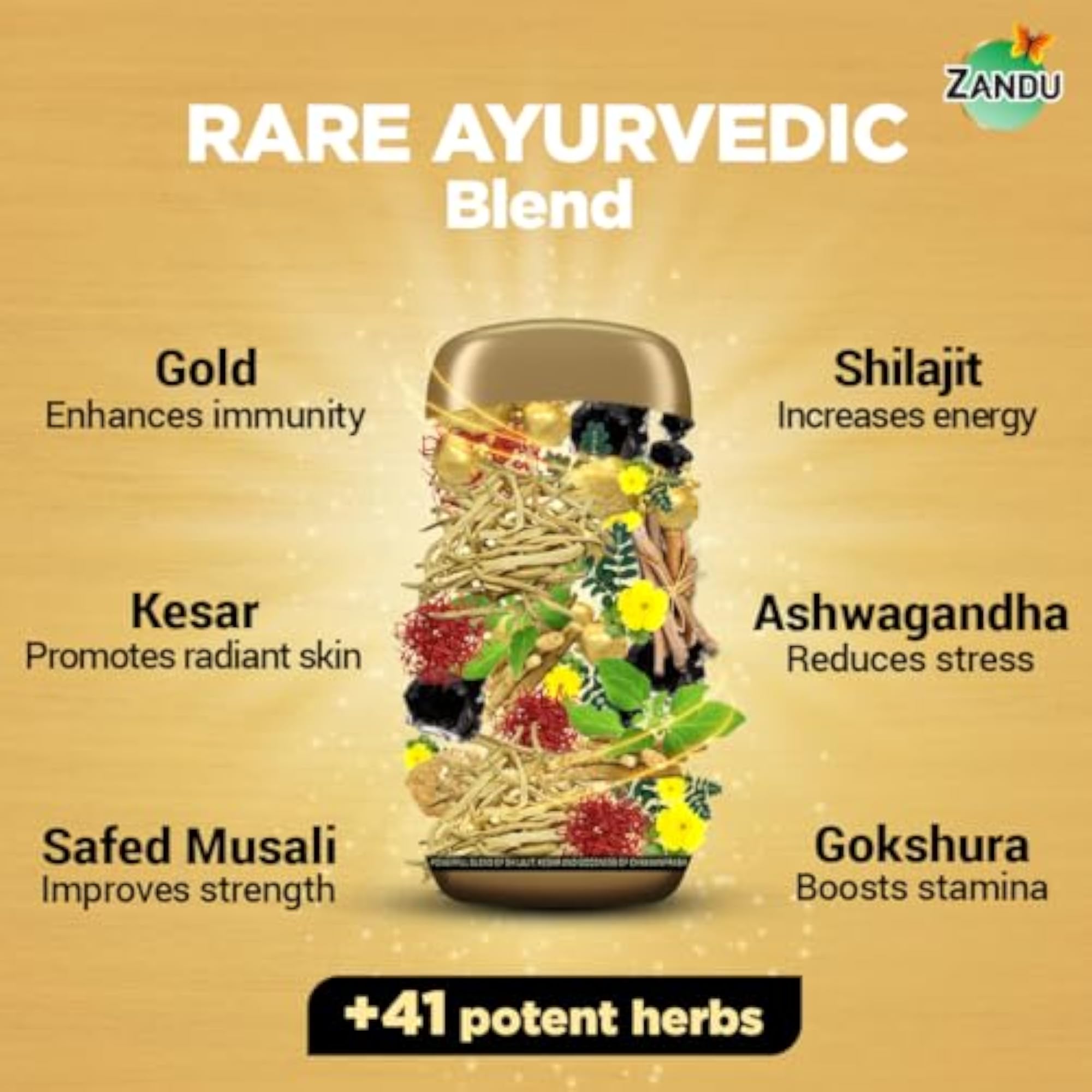 Zandu Shilajitprash 450g, Immunity & Strength Booster
