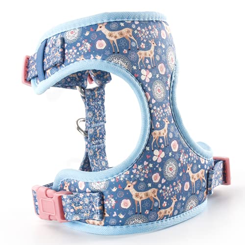 Top 20 best harness for jack russell terrier Hujaifa