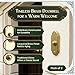 Renovators Supply Manufacturing Doorbell Button 4 in. Lacquered Brass Wired Vintage Push Button with Mounting Hardware Pack of 2