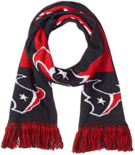 FOCO Houston Texans 2016 Big Logo Scarf