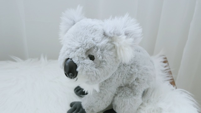 Amazon.com: The Petting Zoo Koala Stuffed Animal, Gifts for Kids