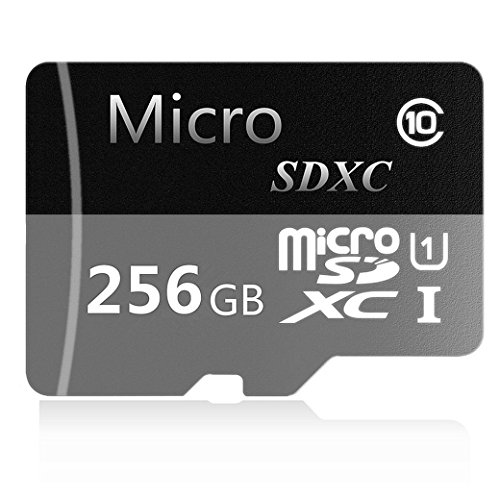 Generic 256GB Micro SD SDXC Class 10 Memory Card 256GB with Adapter(S40-HB256A-F6) (256 GB) (256GB)