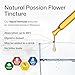 BIO KRAUTER® Passion Flower for Stress Relief - Calm & Mood Support - Pure Vegan Liquid Drops Passion Flower Extract 670 mg/Serving 4 Fl.Oz 56-Day Supply - Alcohol & Sugar Free - Natural Calm Drops