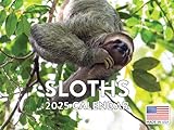 Sloth Calendar 2025 Sloth Gifts Monthly Wall Calender 12 Month | American Made In The USA