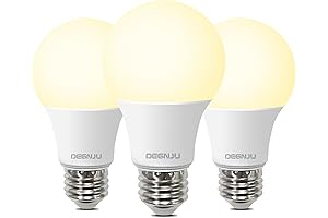 A19 LED Light Bulbs: Your Gateway to Warm and Inviting Illumination