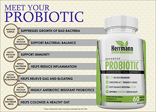 Probiotics by Herrmann Health Products | Probiotic for Men and Women | High Potency 7 Strain Formula | 5.75 Billion Organisms per Capsule | Non-GMO Consisting of DE111™ | GMP Certified 60 Capsules - Image 8