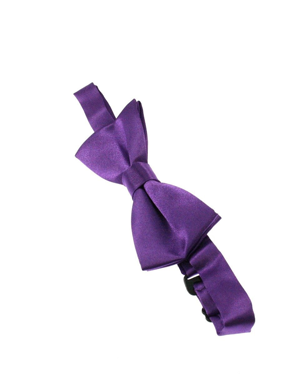 Zac's Alter Ego Fancy Dress Formal Bow Tie
