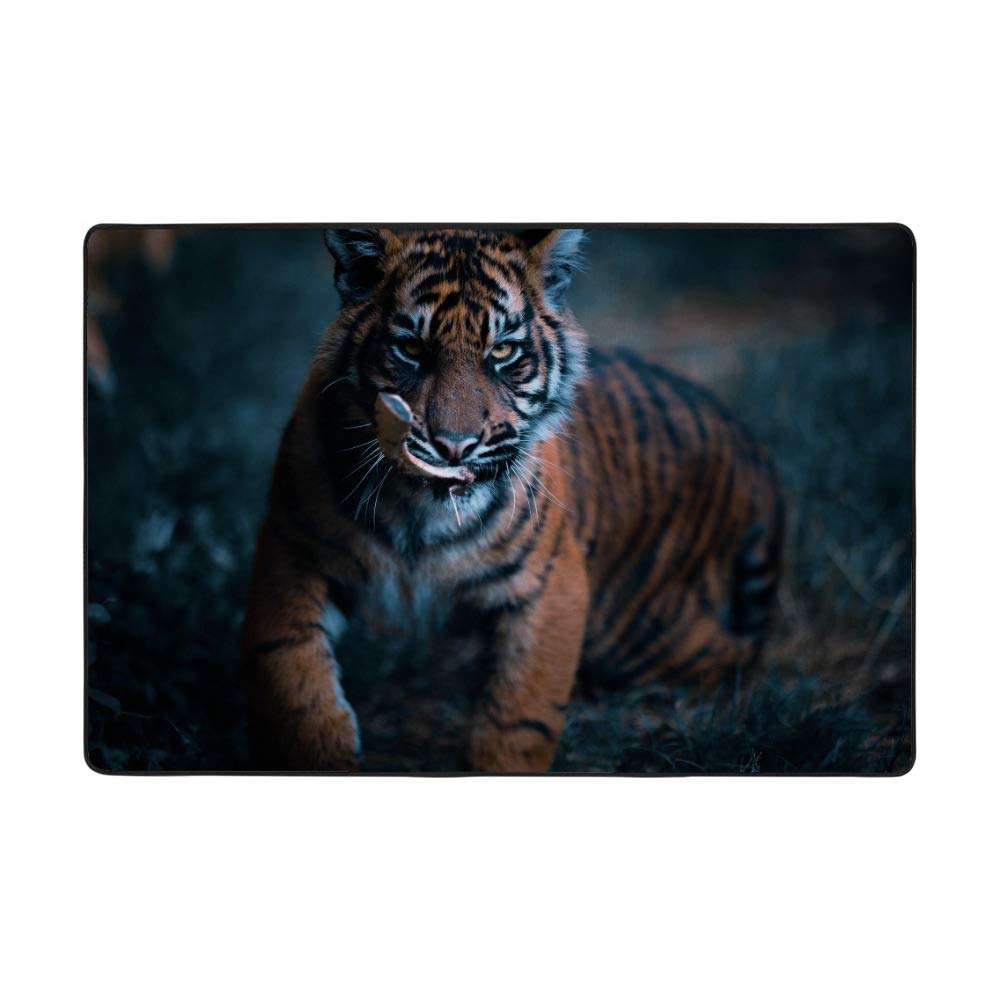 Tapis de salon tigre velours corail grand tapis de chambre