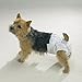 CleanGo Pet Dog Diaper Bulk Packs Disposable Doggie Diapers Helps Protect from Soiling !(Small 40 Pack)