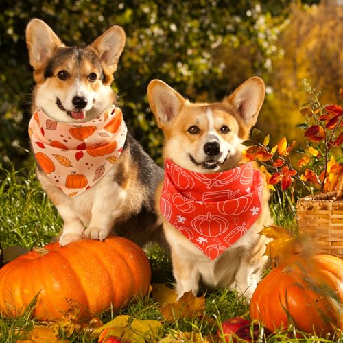 Image of Abbylike 50 Pcs Fall Dog Bandanas Bulk, Autumn Harvest Pumpkin Pattern