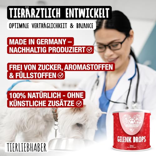TIERLIEBHABER – Gelenk Drops mit Grünlippmuschel Hund – Von Tierärzten entwickelt – Gelenktabletten Hund geeignet als Hunderunde Futtertopping – Hundeleckerli mit Teufelskralle, MSM & Kollagen