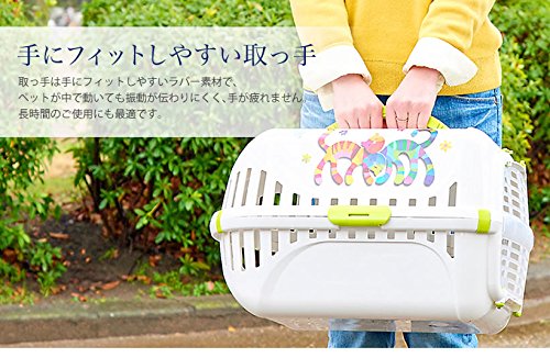 Caixa Transporte Friends Forever Nº1 Verde Friend Forever para Cães