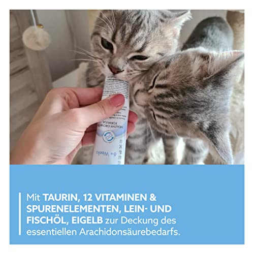 GimCat EXPERT LINE Kitten Paste - Funktionaler Katzensnack fördert die Entwicklung von jungen Katzen - 1 Tube (1 x 50 g)